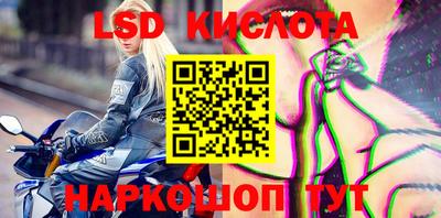 гидра Кимры
