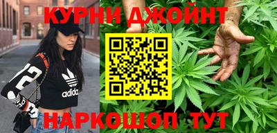 гидра Кимры