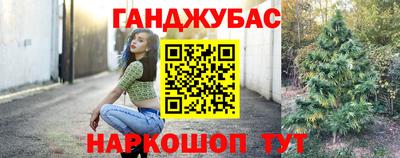 амф Кингисепп