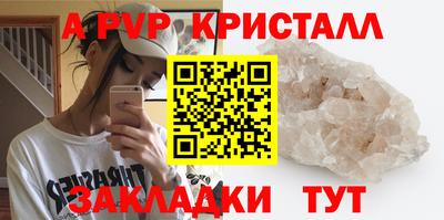 амф Кингисепп