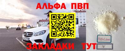 амф Кингисепп