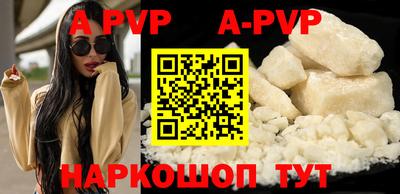 амф Кингисепп
