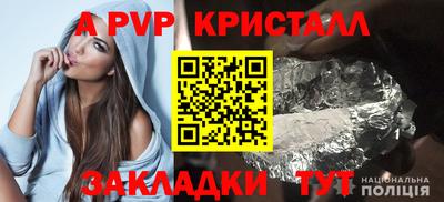 амф Кингисепп