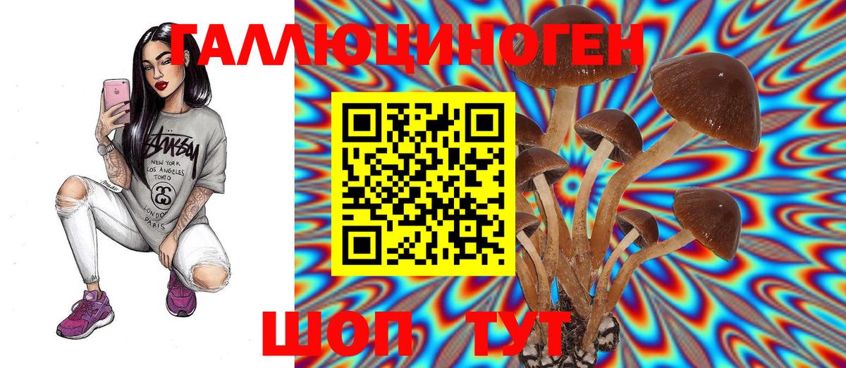 Псилоцибиновые грибы Magic Shrooms Луга