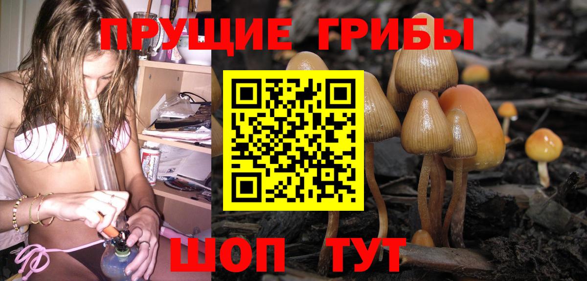 Псилоцибиновые грибы GOLDEN TEACHER  Вход с VPN  Луга 